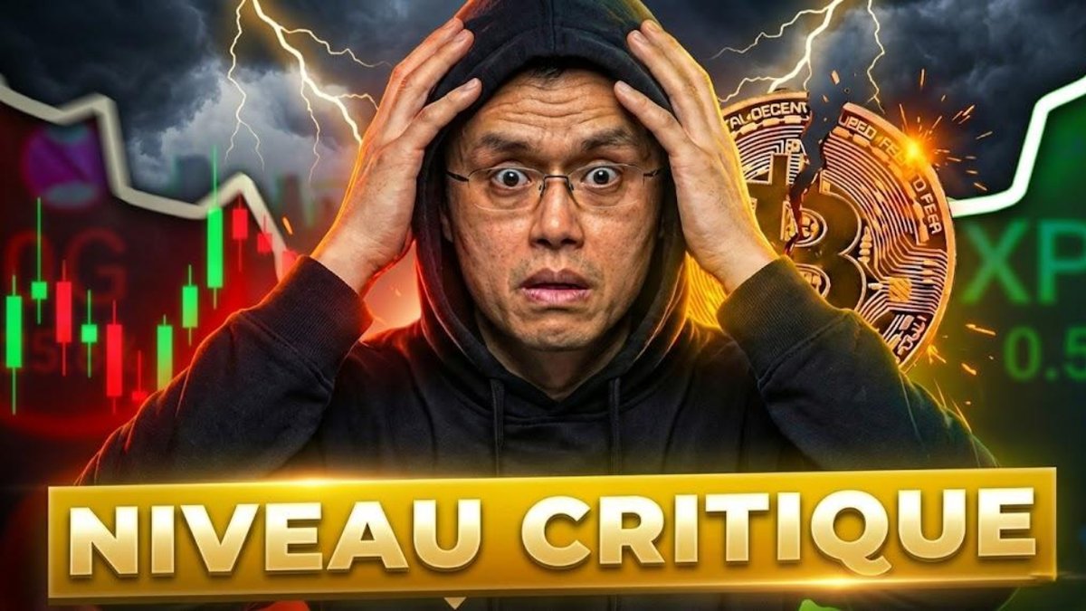 Le Trône Crypto ⚡ (@LeTroneFr) / Highlights / X