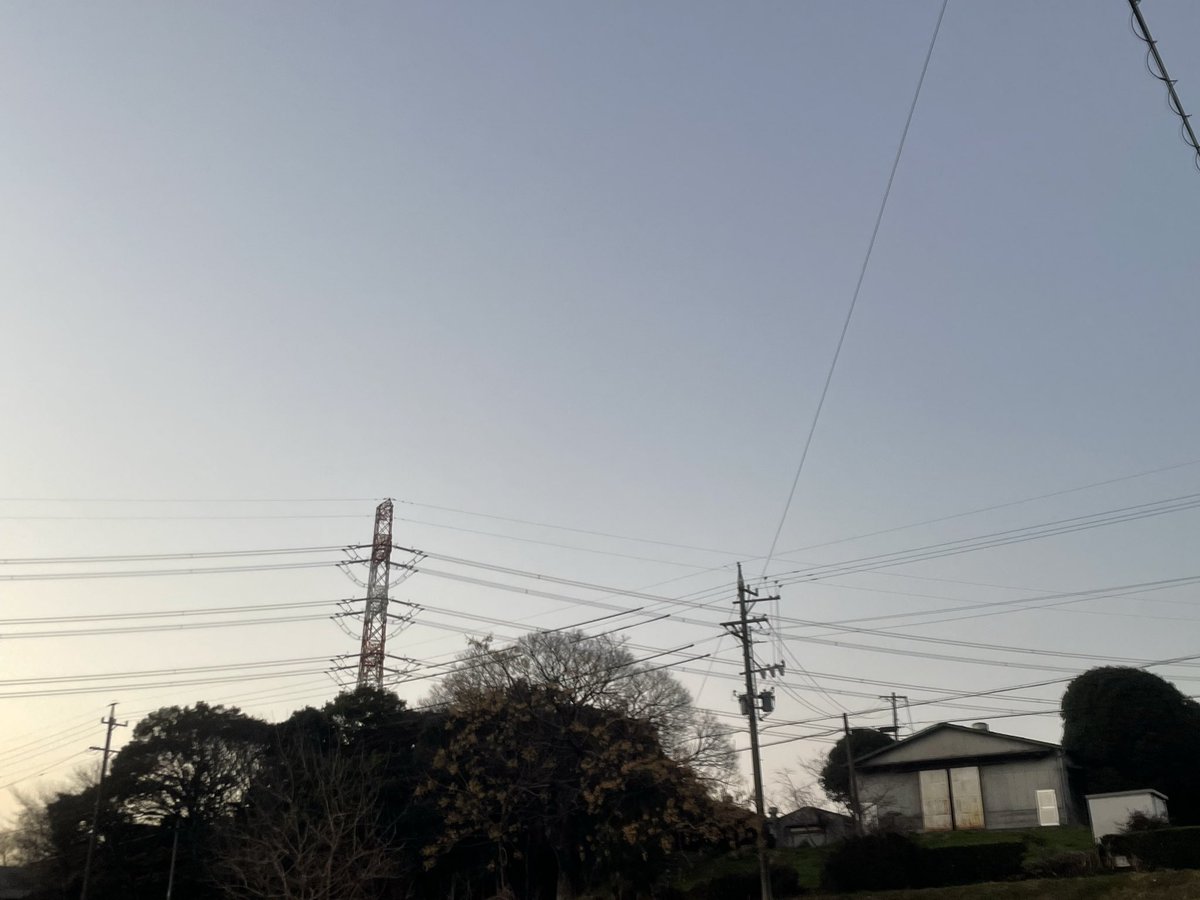 𝗌𝖺𝗄𝗎 tweet media