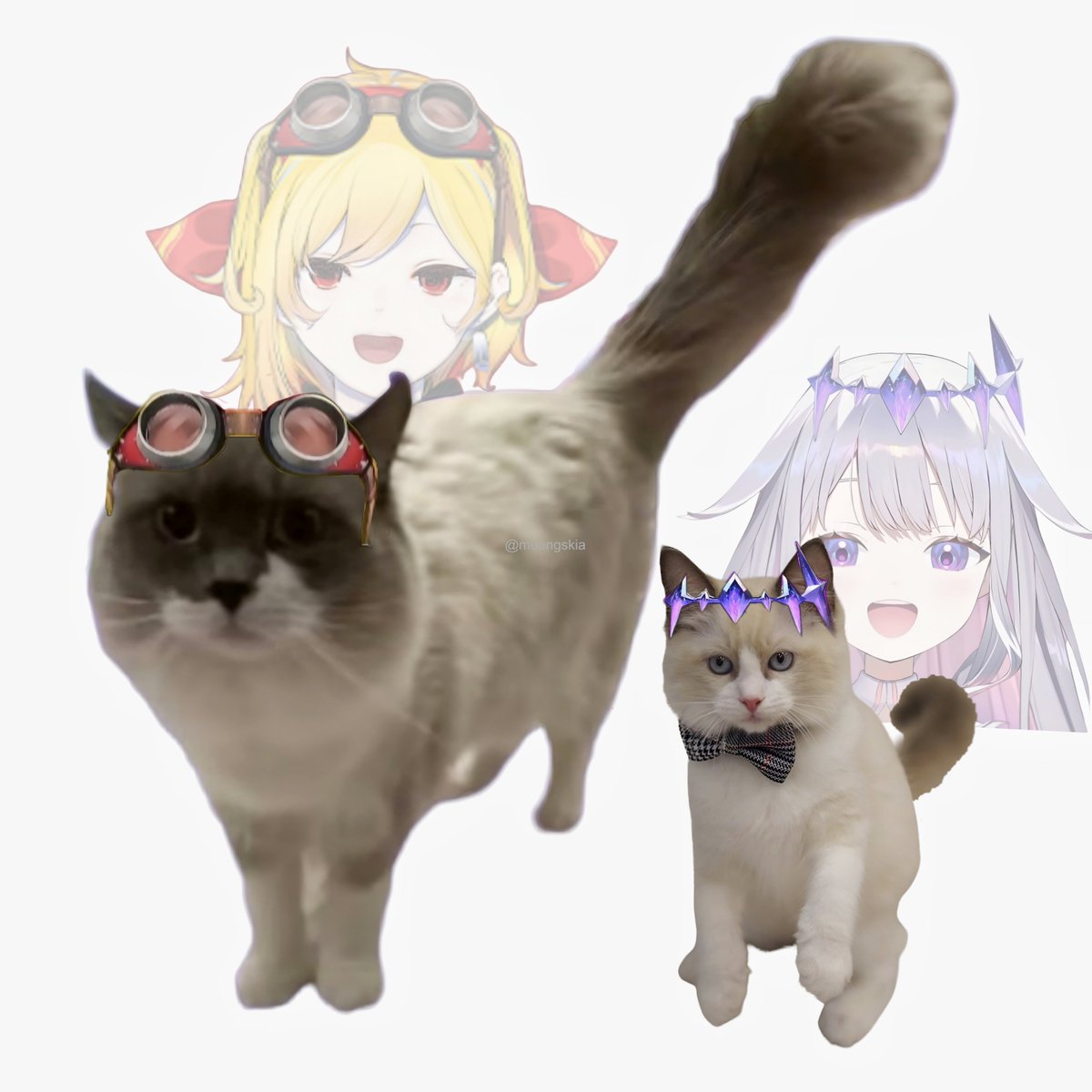 meongskia's tweet image. That's just #Grindstone but cat.