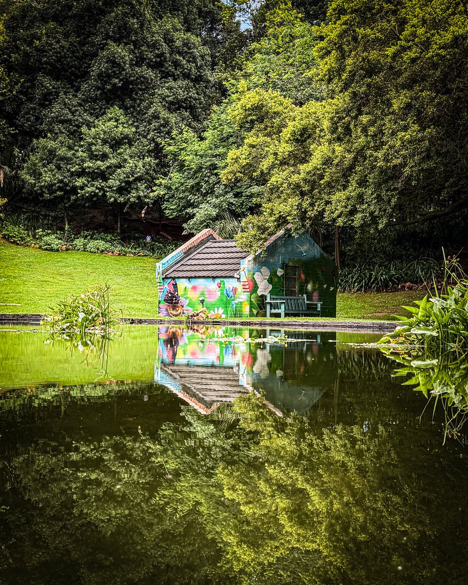 Soft, dreamy sunlight streaming through the leaves, birds singing and a calm stillness all around. Walking through the magical urban forest of The Wilds in Johannesburg always does wonders for my wellbeing 😊🎋🦎🦉