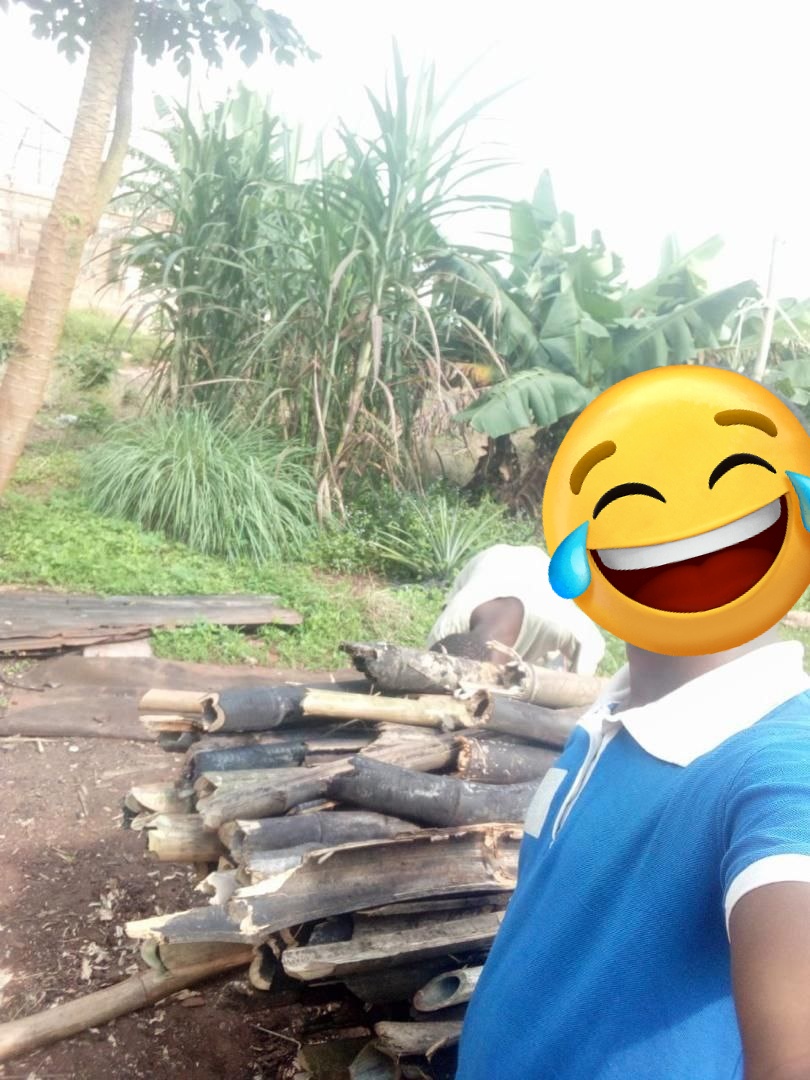 AngelicPrince tweet media