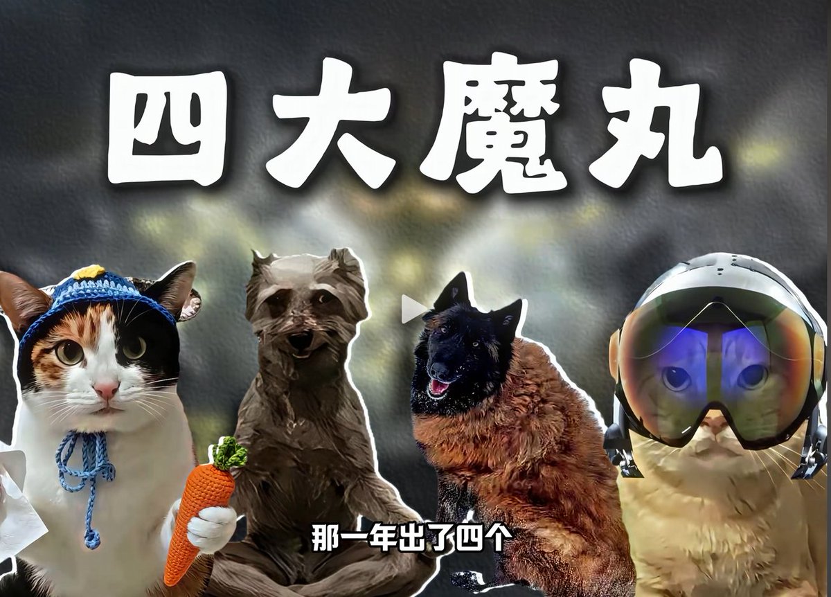 哭哭狗 tweet media