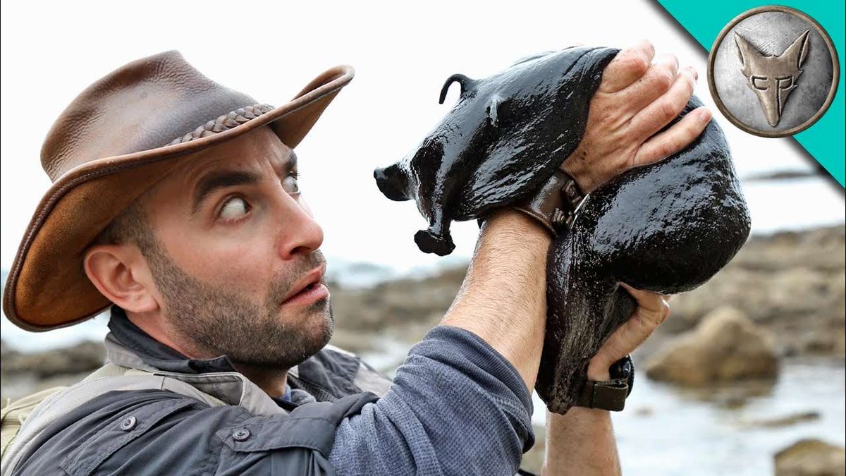 Shadoo_creeture's tweet photo. He's so mesmerized by the sludge I find that really endearing https://t.co/oSV5stPszM