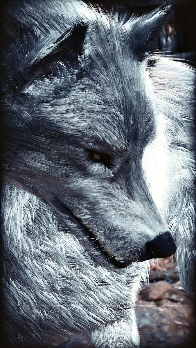 CLiCKER_XIII tweet media