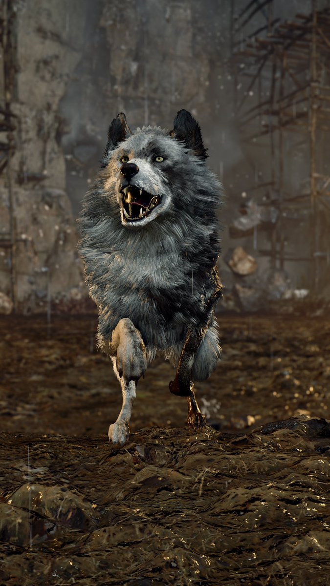 CLiCKER_XIII tweet media