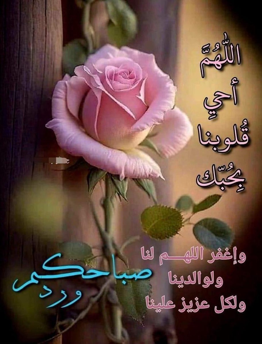 صباحكم ورد وفل وياسمين وسعادة واطمئنان 🤗🌹💌💐💚❤️🤲🏻

#صباح_الخير

#صباح_السعاده

#صباح_الخير_والسعاده

#اللهم_صل_وسلم_على_نبينا_محمد