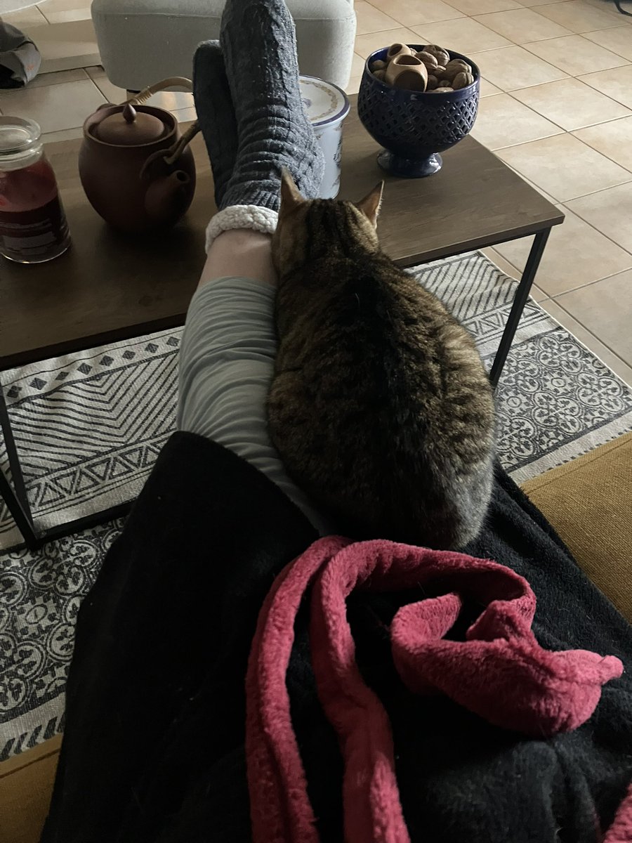 Lexis 🐈 🚺 et Sauronne 🐈‍⬛ 🚺 tweet media