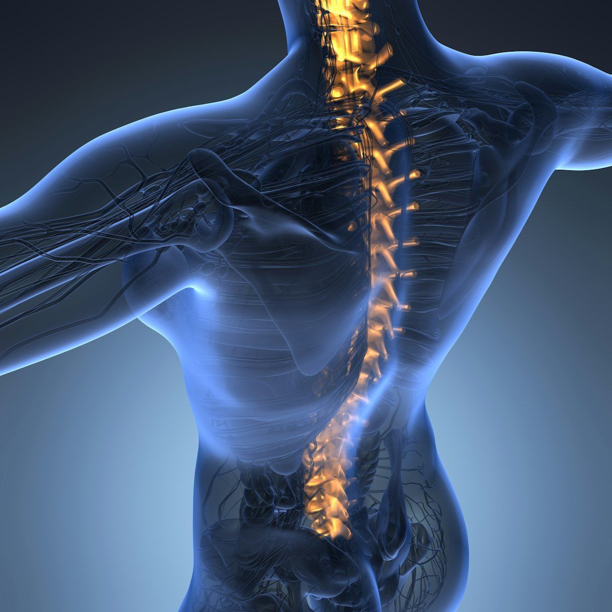 AuntMinnie's tweet photo. RSNA releases Lumbar Degenerative Imaging Spine Classification dataset #radiology #spineimaging #MRI #LumbarDISC @RSNA @UofUHealth https://t.co/bcQszOThR2 https://t.co/2pVpQmAerd