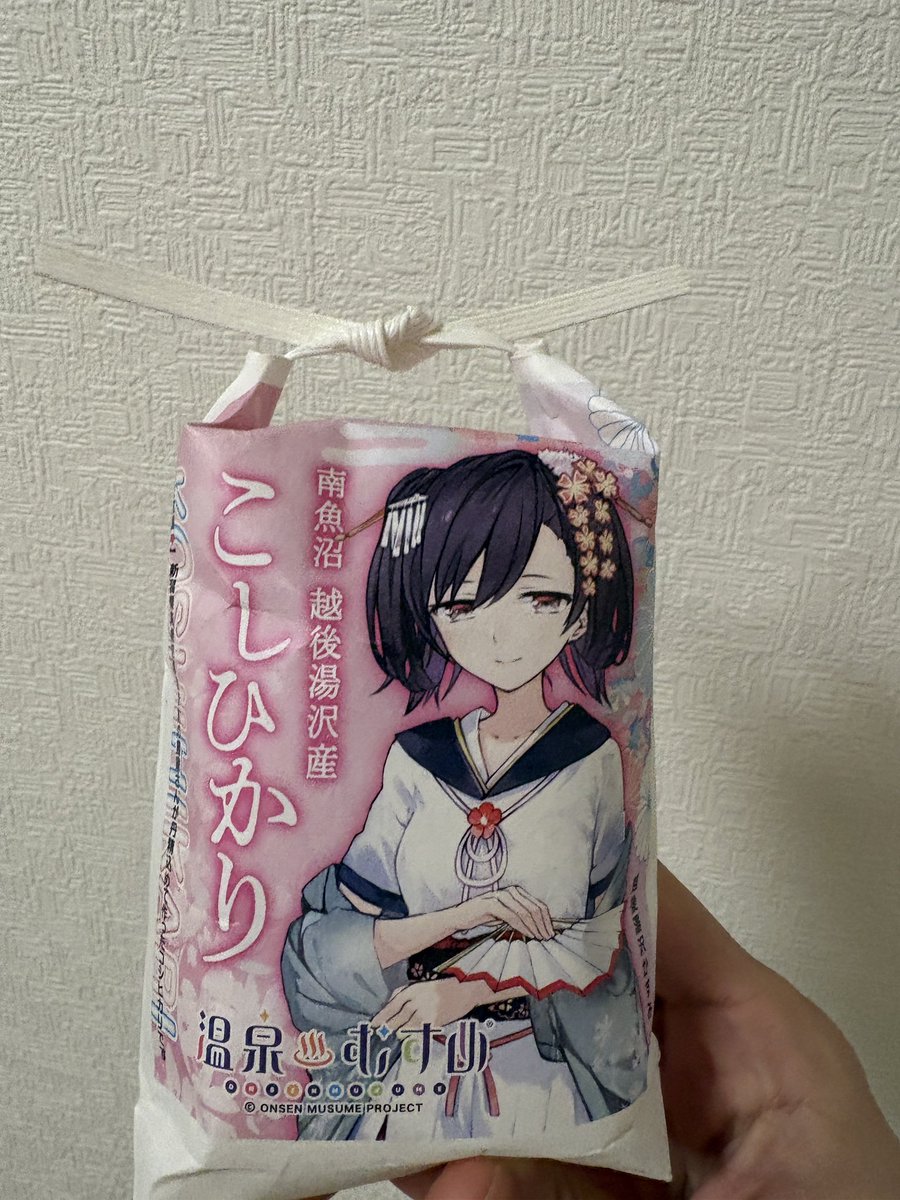 越後湯沢温泉【温泉むすめ】公式 (@echigoyuzawa_k) / Posts / X