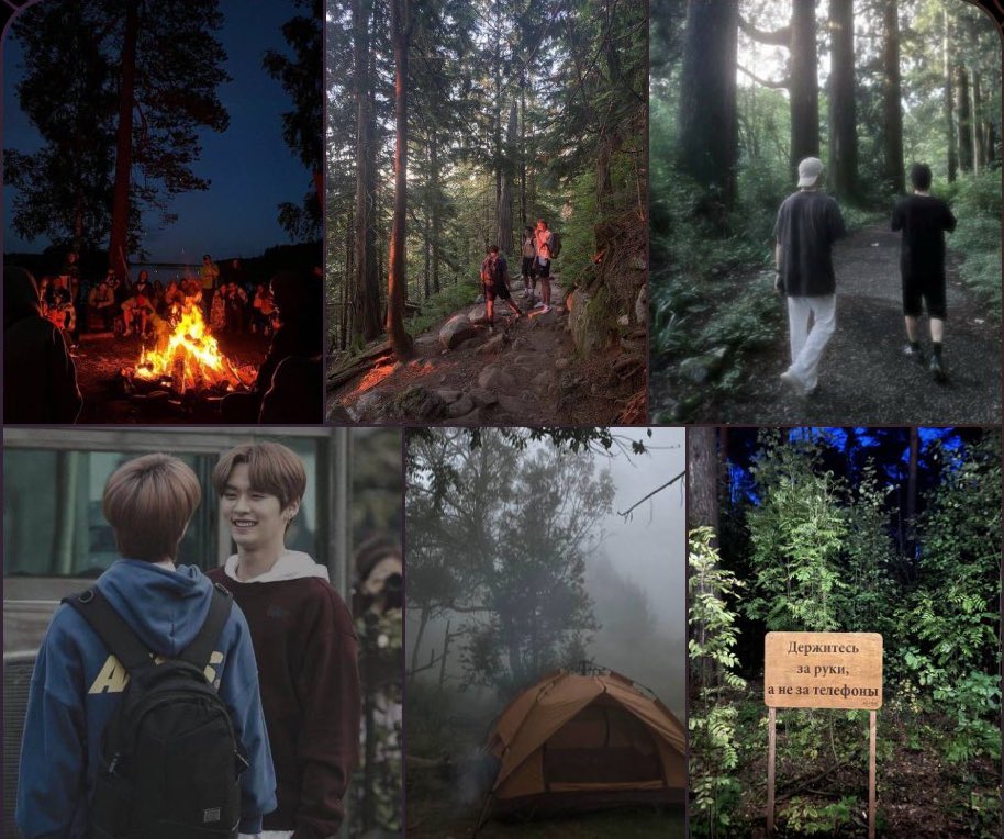 софт ти 🌙 tweet media