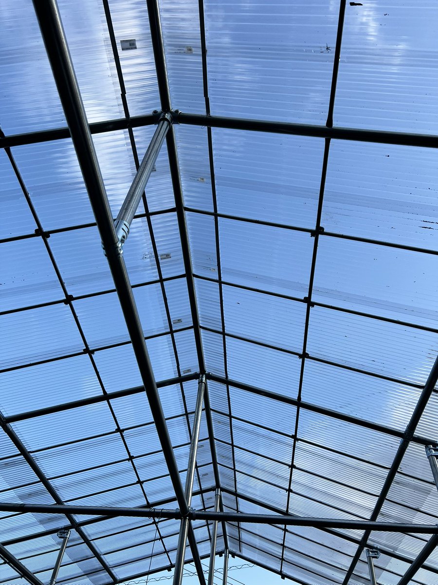 sumis600's tweet image. 屋根の波板120枚張り終了〜
時間かかったァ〜😭