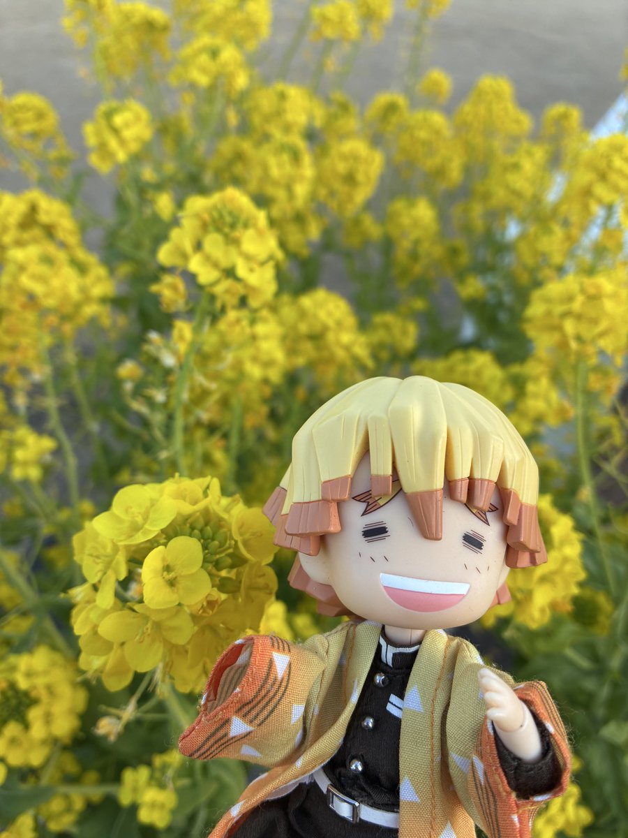 のりりん (@noririn_616) / Posts / X