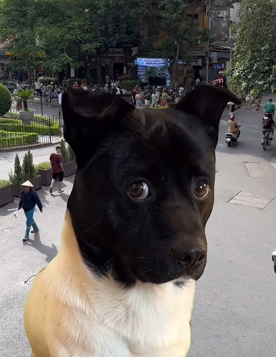 Majmunspiuni3's tweet image. Wait…Warriors of light™️ nimble and smarter™️ elves can’t figure out how to repair and maintain barn sized overweight BTRs?