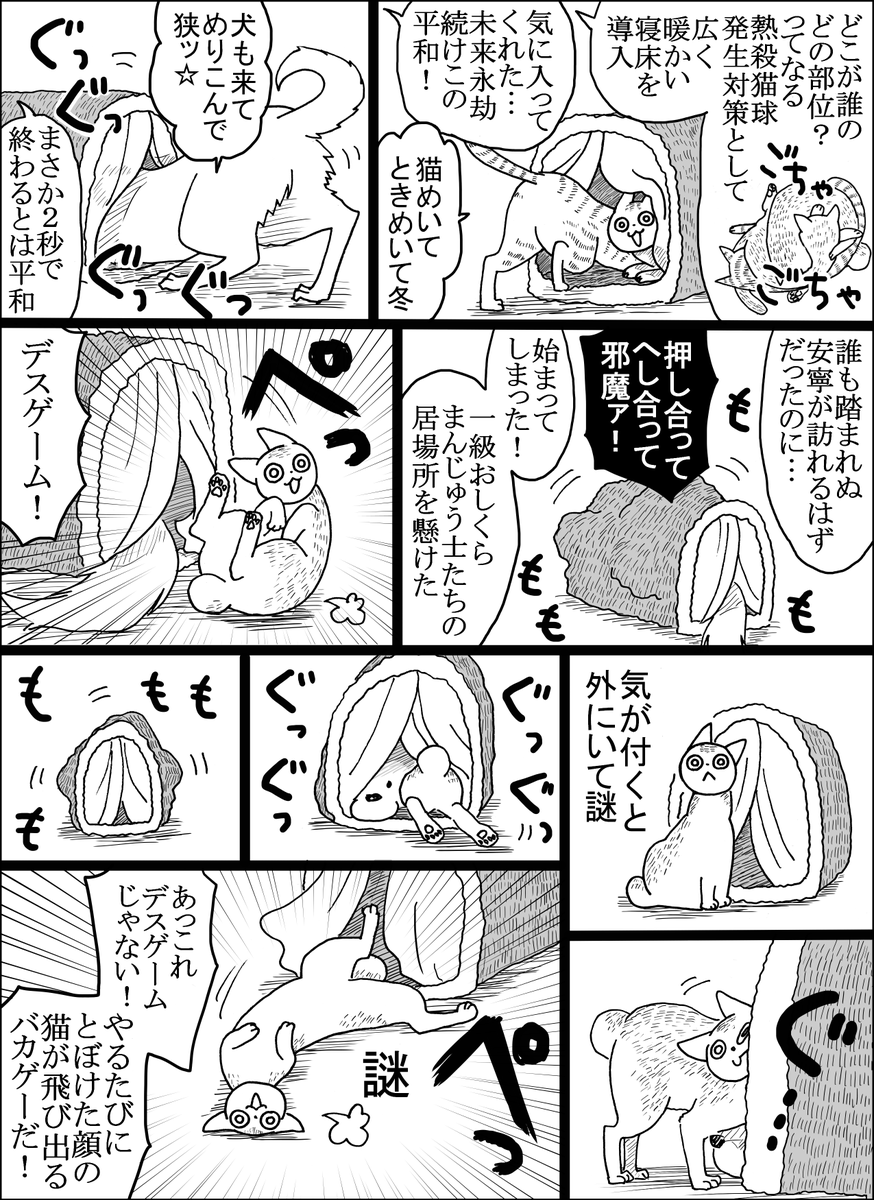 謎多きデスゲーム