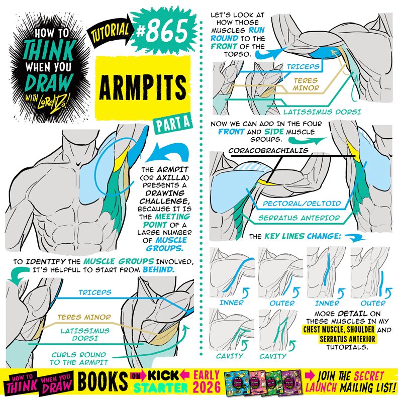 EtheringtonBros's tweet image. ARMPITS Pt 1! To get the FREE monthly How to THINK When You draw digital MAGAZINE, (including NEW tutorials, a YEAR before they appear online) just tap the link in the bio HERE:  @etheringtonbros
PLUS! Tutorials BOOKS on KICKSTARTER in EARLY 2026!
#anime #manga #conceptart