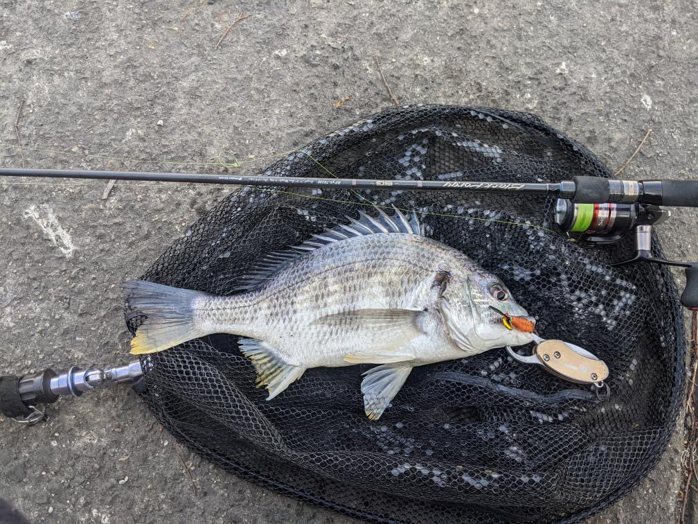 メジャークラフト株式会社 (@info_majorcraft) / Posts / X