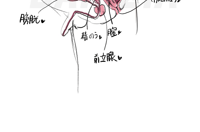 タップすると縦になるやつ、
タップしなくても縦になるのか検証 