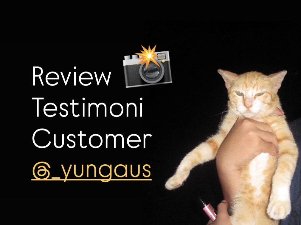 yungrolls tweet media