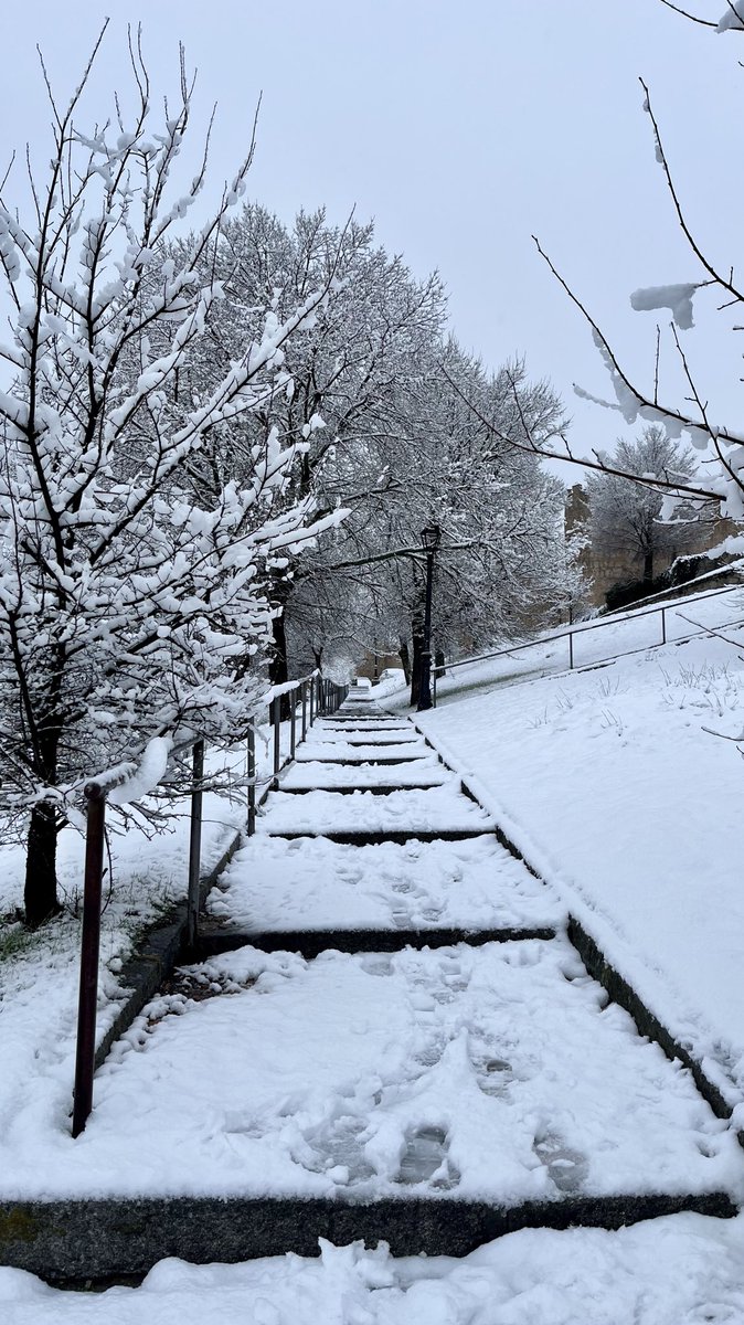 Sergio Alonso del Pozo tweet media