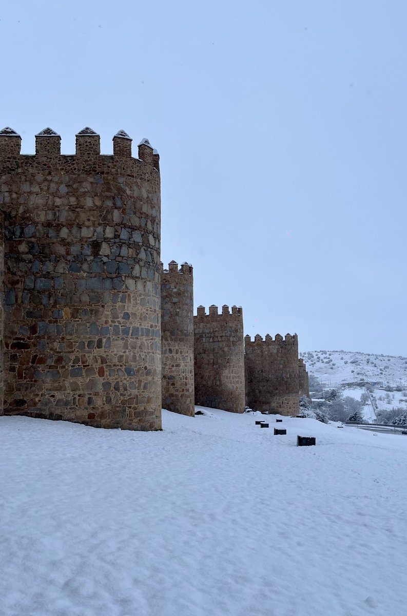 Sergio Alonso del Pozo tweet media