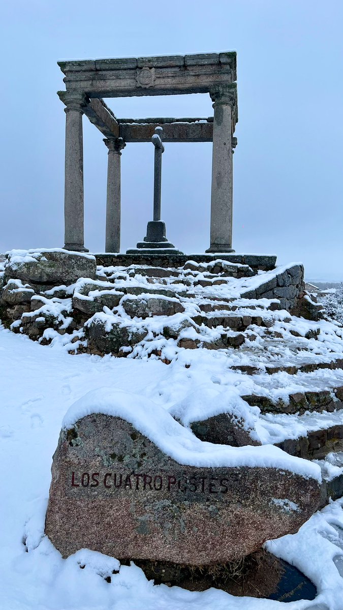Sergio Alonso del Pozo tweet media