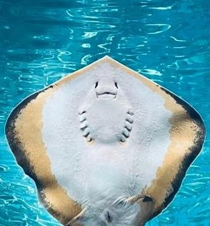 DataSpaceGeek's tweet image. 不安定でROMしたい 🗣️