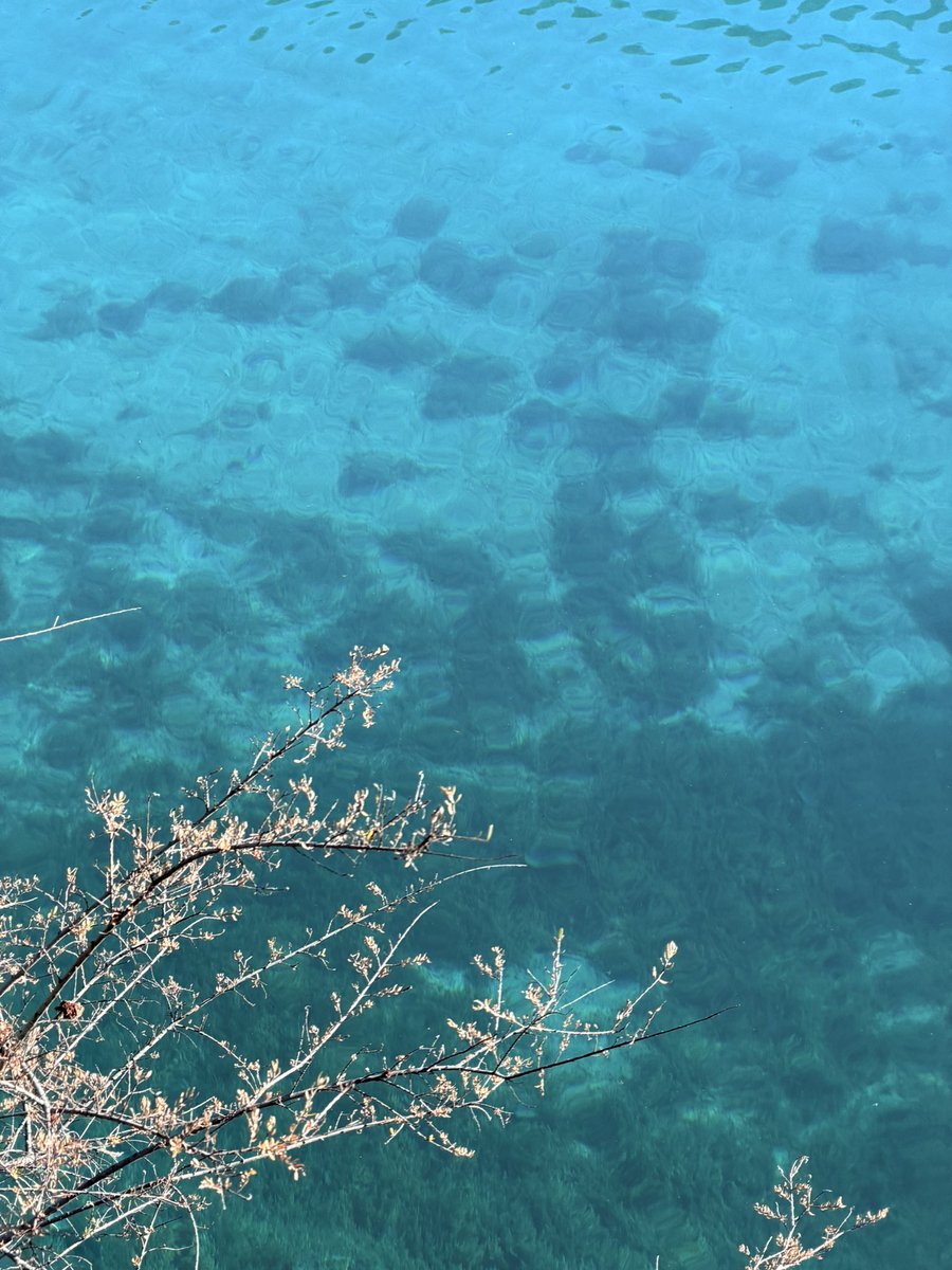 Pak_GZ's tweet image. 点会蓝得咁夸张