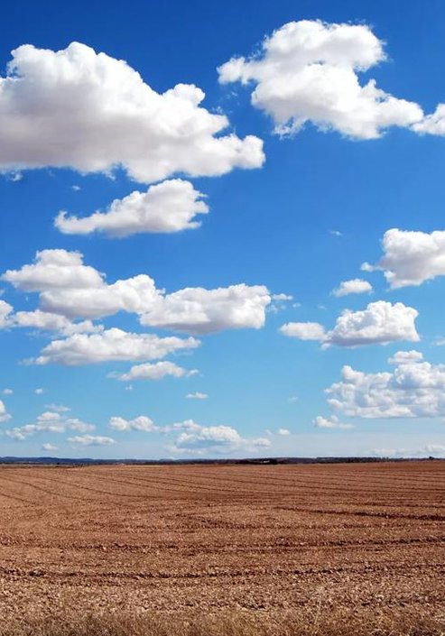 Matengem's tweet image. 暖気の正午。
移動したあとお寿司。
いい調子 🥴