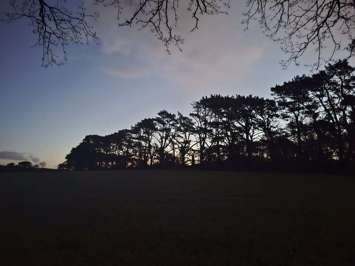 Edward Chapman tweet media