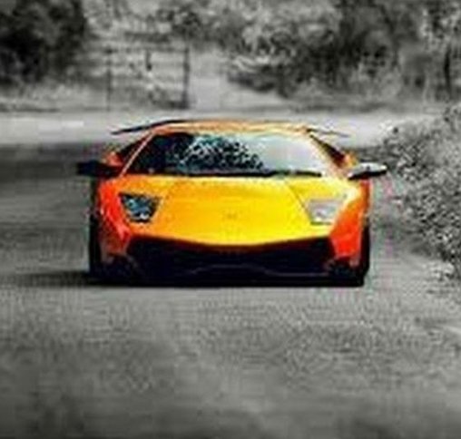 GilinskyMadison's tweet image. ついに出前中。にぎやか 😌