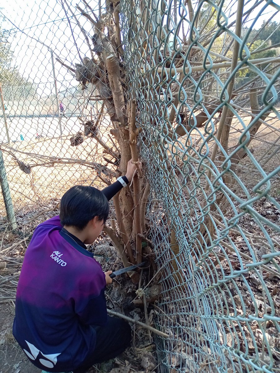 小春日和！

今日は市営コートにて練習＆地域貢献

先日の大風でコートや通路には落ち葉が散乱😢　ブロワーできれいに☺

コート周辺が雑木の攻めに😢コート内まで😢　みんなで雑木の伐採☺　技術の授業を実践で！　木の伐採にも笑顔。何でも楽しむ子たち😂　

日頃お世話になっているコートに恩返し！