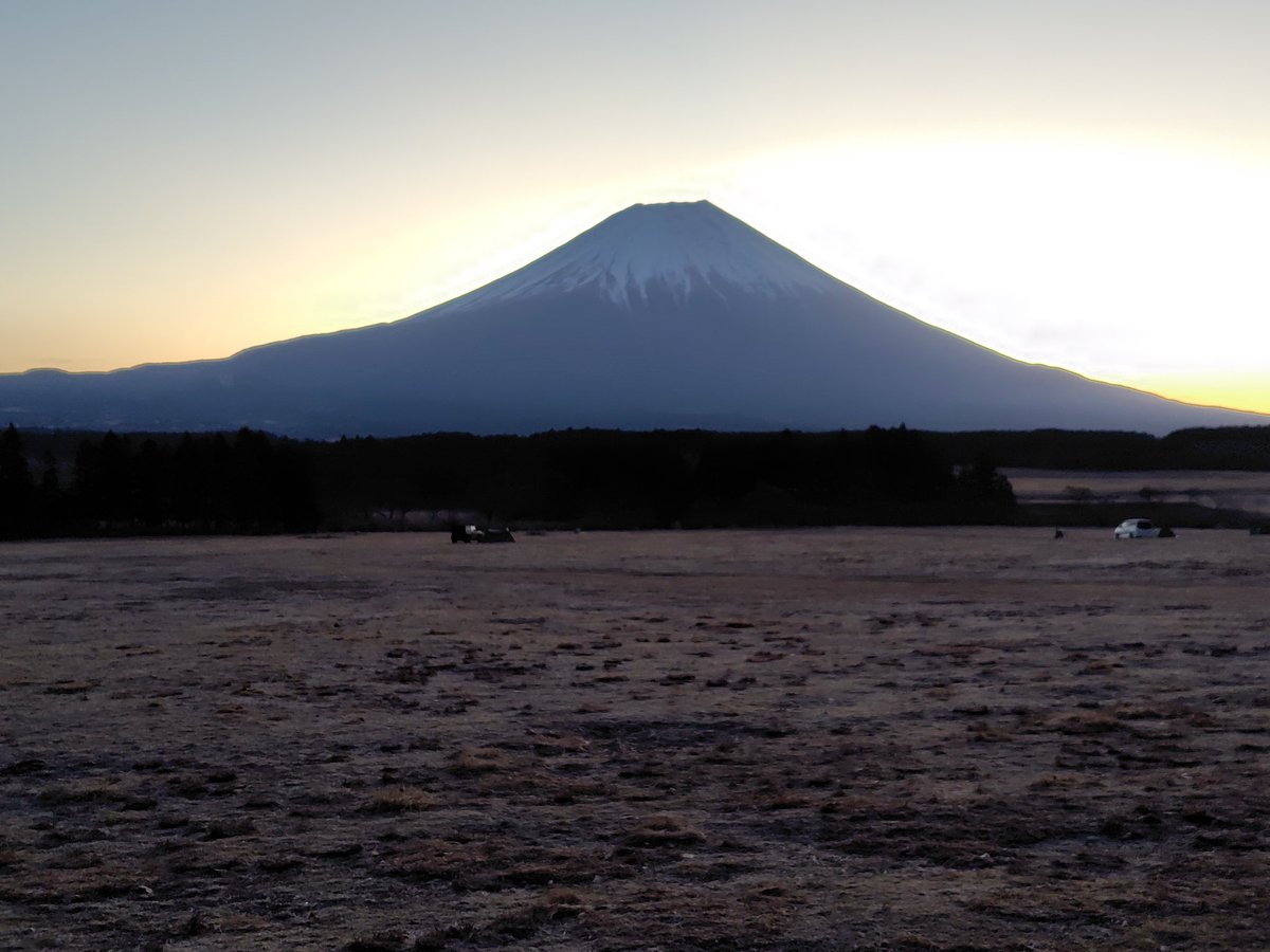 ゆあさ(　・ω・) tweet media