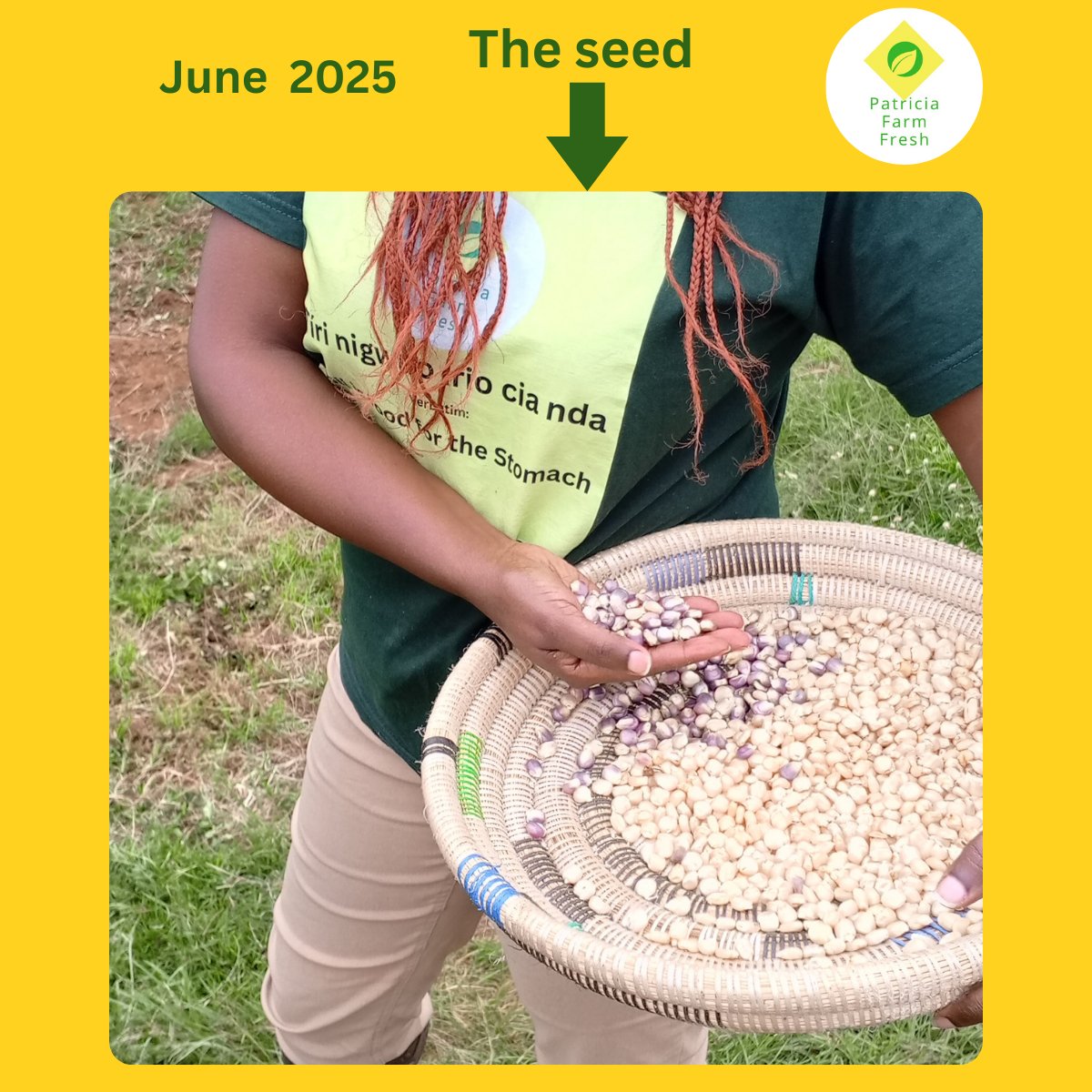 Patricia Henry tweet media