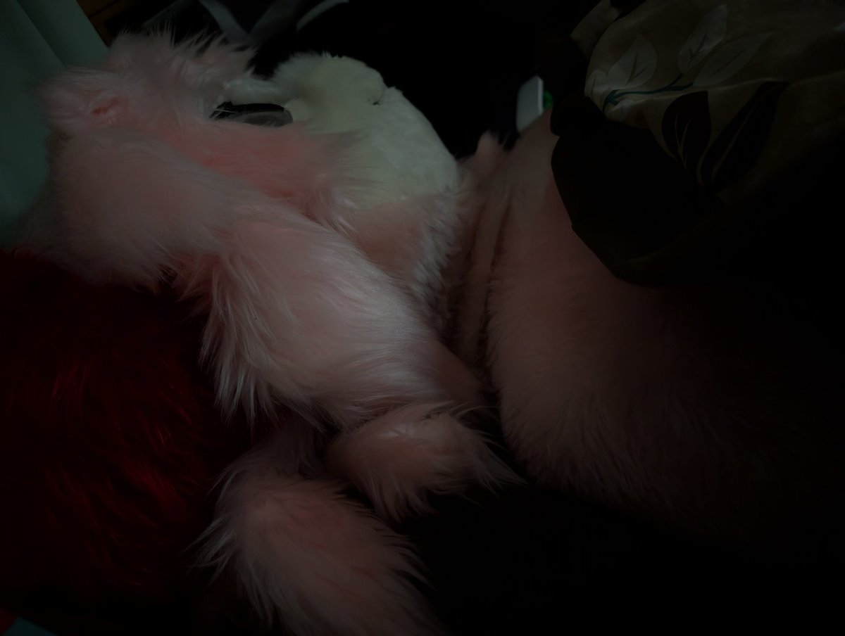 ただいま夜の6時半です(小声)
マリエルは寝てます(小声)