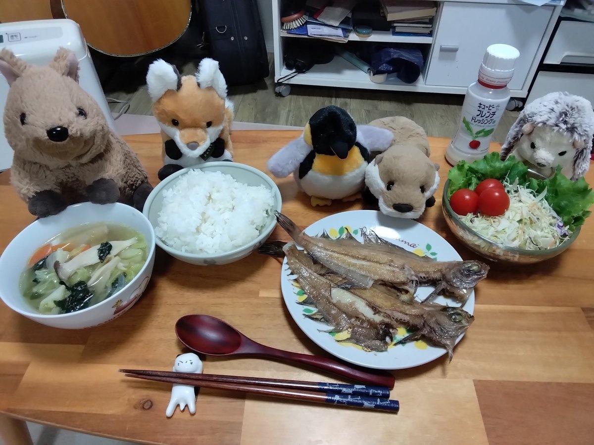 にゃー吉 (@nya_kichi_1215) / Posts / X