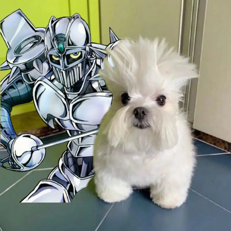 cuenta que te avisa cuando se anuncie jojolion (@jojolion_2011_) on Twitter photo 