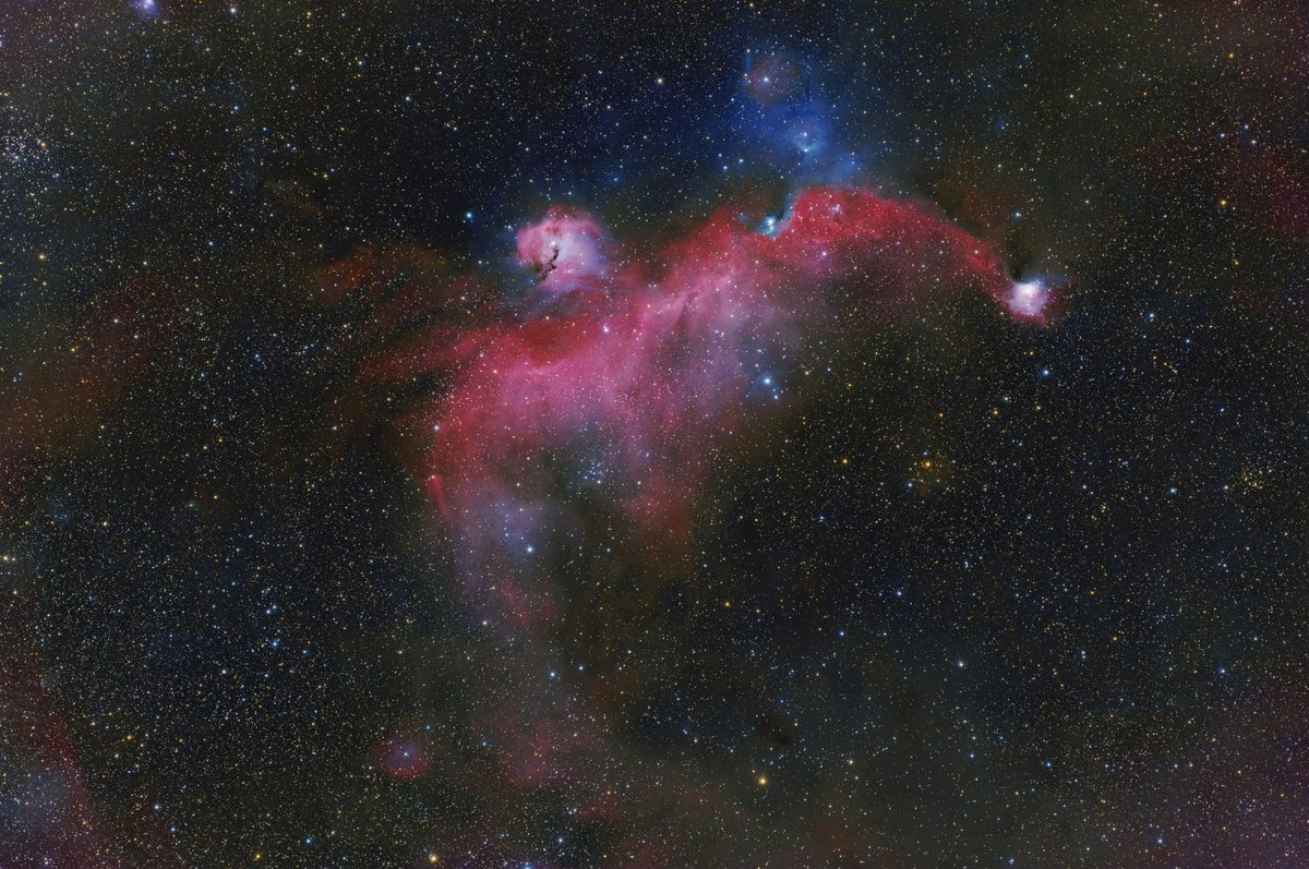 新春第一弾は昨夜撮影したかもめ星雲です。

赤、ピンク、青と新年らしく微妙におめでたい色調で、今年は良い年になるかもと錯覚すらしそうです。

春の空にはこういう星雲がないんだよなあ…どうしたものか。