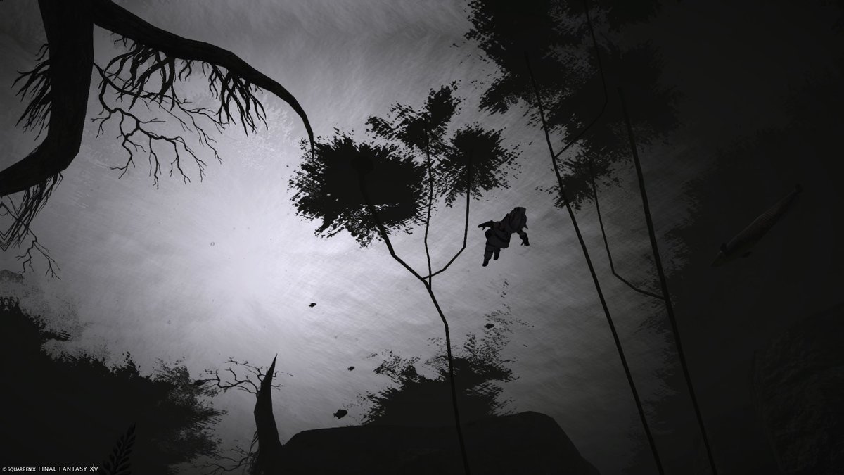 グルポだけで色々撮れるねぇ〜
と、実感したスクショ！
変わった向きから写したり、普段使わないフィルター使ってみたり…
やっぱ奥が深い！