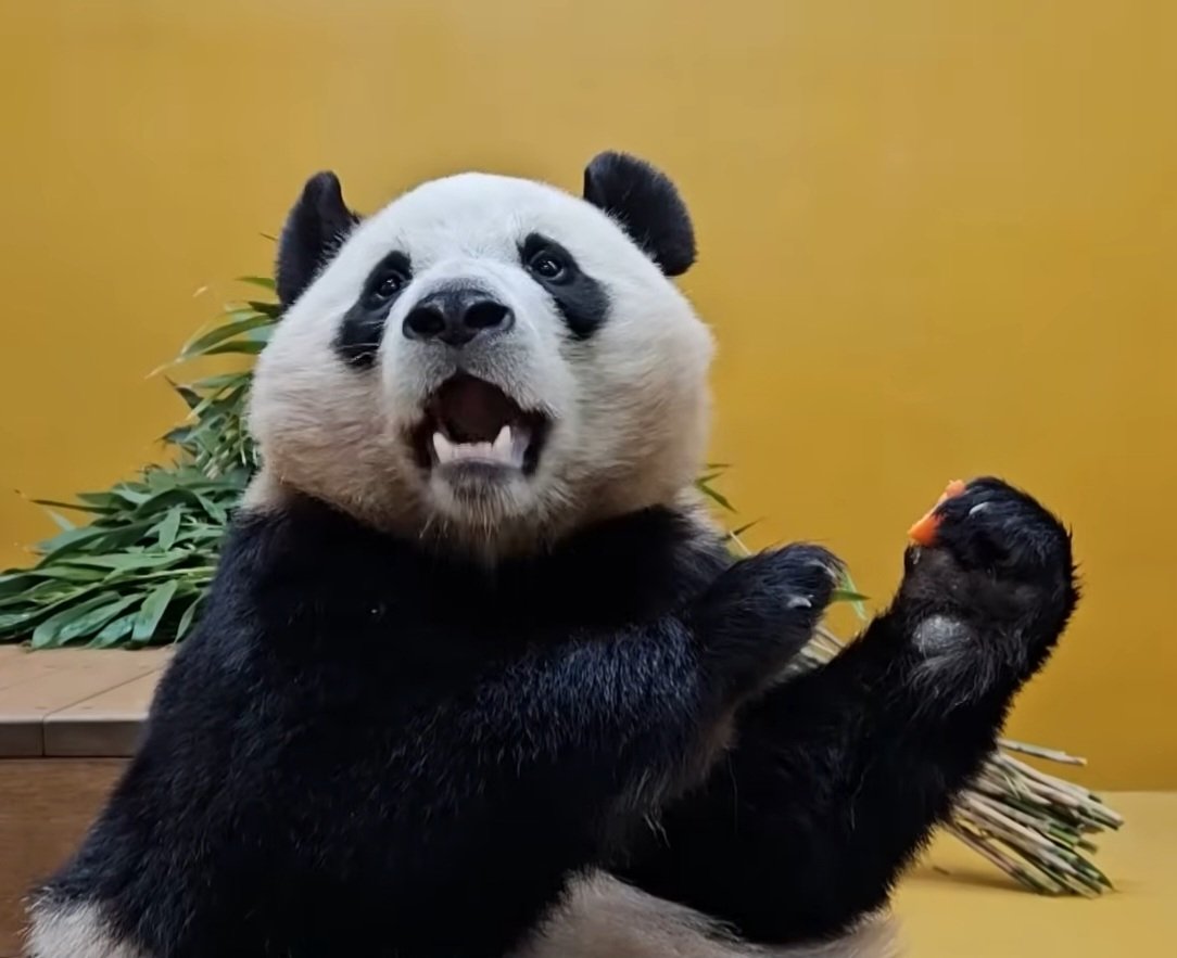 우리 막둥이는 억울미 있는 게 너무 너무 좋아