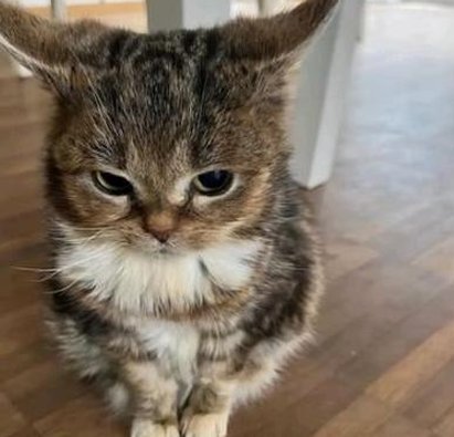 yatchben's tweet image. オス！新月だから飲み過ぎた 🥶