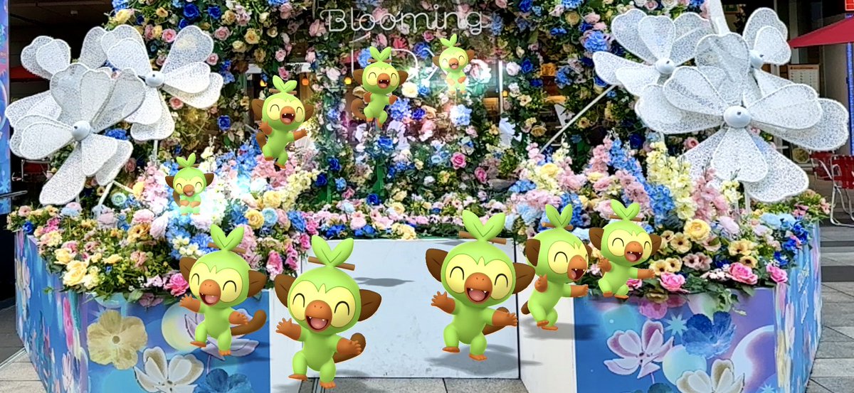 toboinsta's tweet photo. ノリノリサルノリ / Groovy Grookeys🐵
明日は湧きまくるでこざる〜🐒

#ARofTheDay #ARofTheCommunityDay #pokemongocommunityday #GOsnapshotCelebration #GOsnapshot #PokemonGO #PokemonPlaygrounds #サルノリ https://t.co/a31HlunqRL