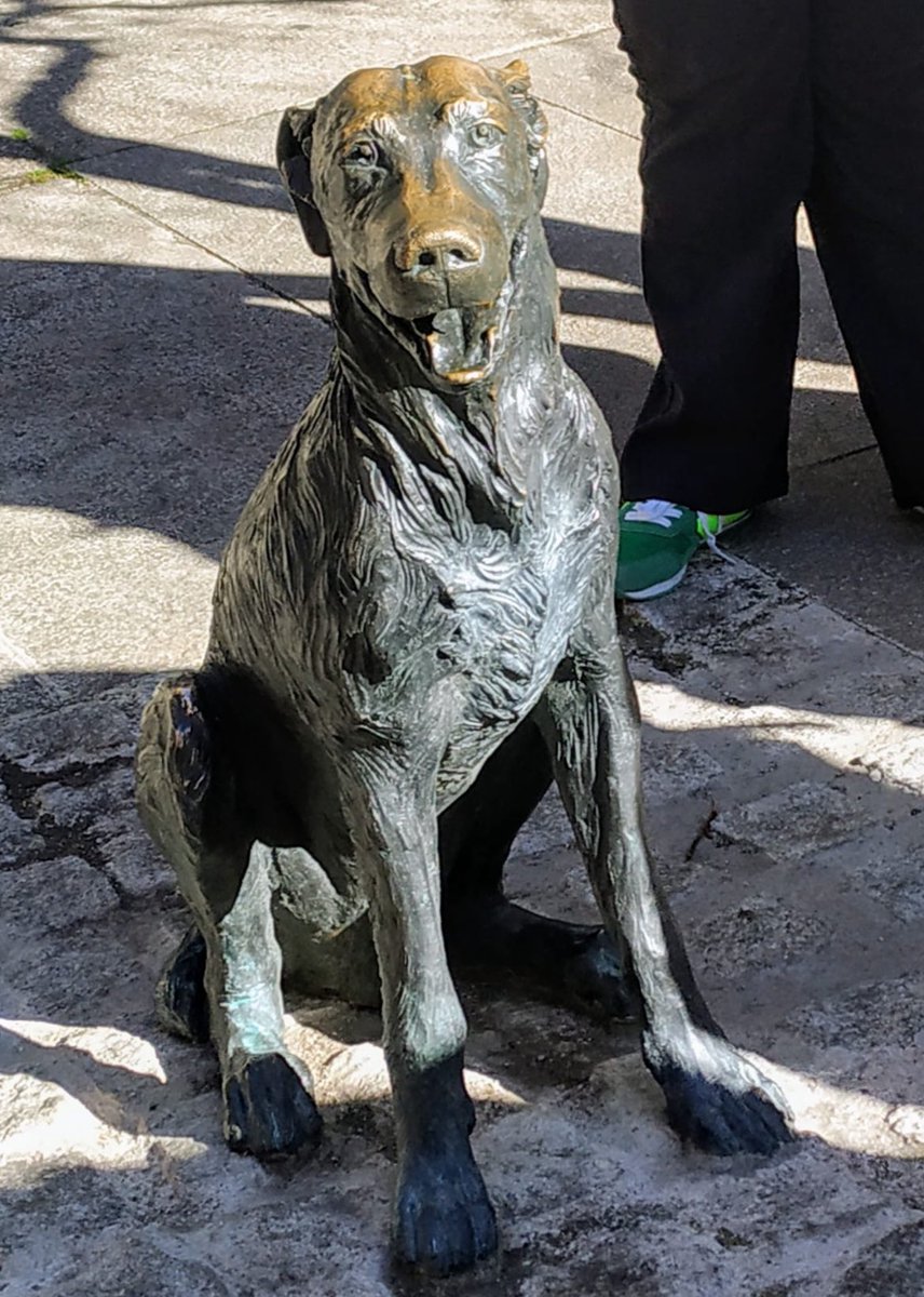 ConoceOtroMad's tweet image. Hoy festejamos San Antón y queremos homenajear al perro más famoso de Madrid, el perro Paco. Cuyo monumento se encuentra en la calle Huertas desde el 2023. La obra fue realizada por Rodrigo Romero, ¿pero quién era Paco? 👇🏻