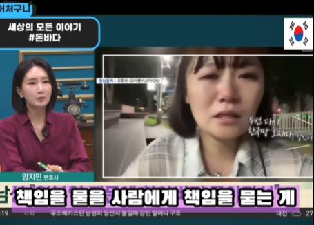 과거 유이뿅님의 영상을 올리며 갈등을 양국간 갈등을 야기시키는 포스팅을 보며 제가 인용한 내용처럼 댓글을 남겼고 한국어로는 아래와 같습니다.

안녕하세요.
지나가다 이 영상을 보게 된 한국인입니다.
제가 일본어를 하지 못해 번역기를 사용해 말씀드립니다.
글이 길지만 읽어주신다면