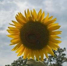 smarttyenable's tweet image. 夕方にリビングで更新する 👩‍🔧