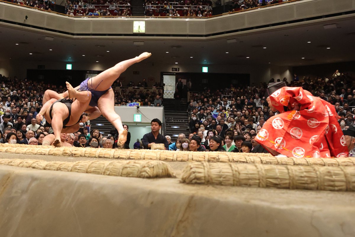 七日目の様子＞ 幕内取組 #安青錦（6勝1敗） 寄り倒し #若元春（1勝