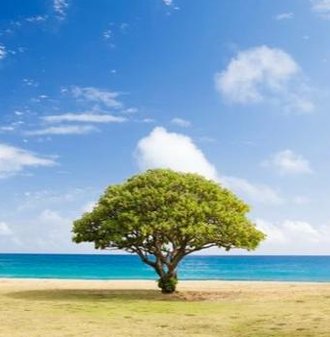 LarsPomeroy's tweet image. むしろ筋トレしよう 🐻