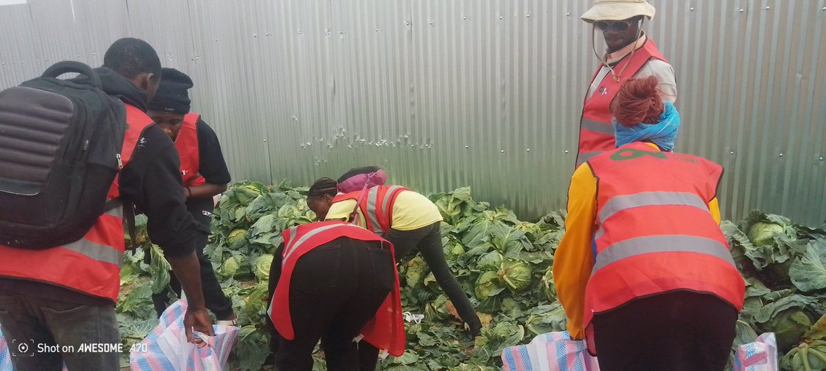 MerciGeeh's tweet photo. Residents receiving support today highlight the impact of Vibo Eats’ approach. Immediate hunger is alleviated while long-term livelihoods are built through micro-enterprises in Nairobi communities. #ZeroToOneGenz https://t.co/dteBU3AKBV