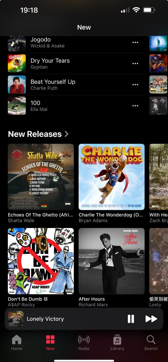 🆕🎧 Apple Music USA Feature 🇺🇸

<a href="/shattawalegh/">SHATTA WALE</a>’s “Echoes of the Ghetto” EP being featured in the New Releases section on Apple Music USA 🇺🇸 is a notable international achievement, reflecting strong visibility in the U.S. market.

📌 This placement reflects broad traction and/or