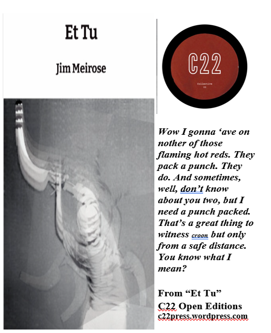 jwmeirose's tweet photo. Get "Et Tu" C22 Press @c22press #experimentallit #literaryfiction #fictionwriter https://t.co/N3y6TdDUKA
