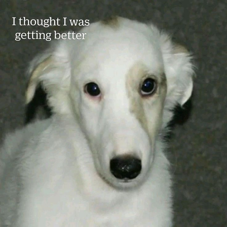 YJ (@yjwavy) on Twitter photo 